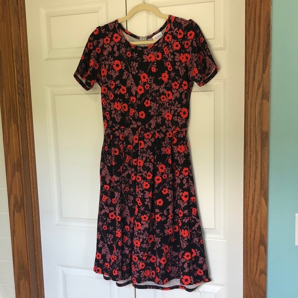 Lularoe Amelia dress - Picture 1 of 5